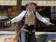Don Quixote Busker